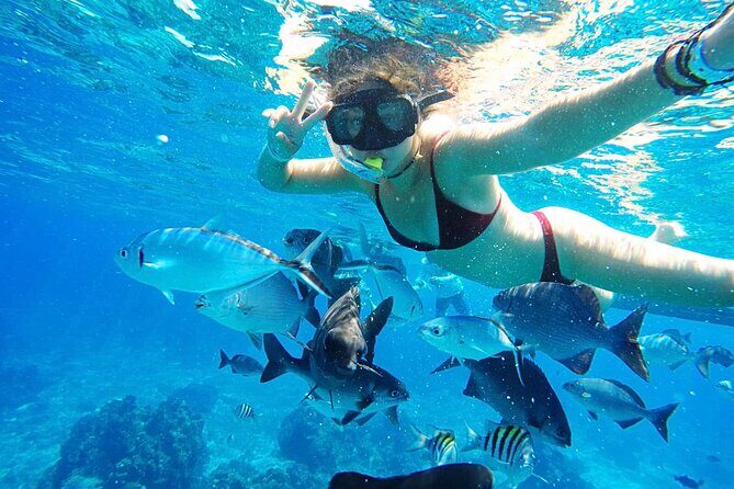 Best Cozumel Day Pass San Francisco Beach Club - FAQ About San Francisco Beach Club Day Pass