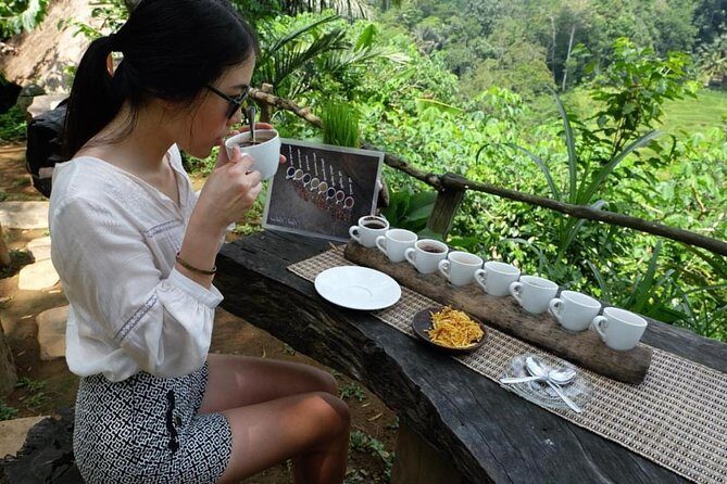 Best Day Trip in Bali - FAQs