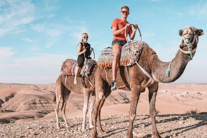 Best, Day trip to the Atlas Mountains, Camel ride, waterfalls, from Marrakech - Who Is This Tour Best For?