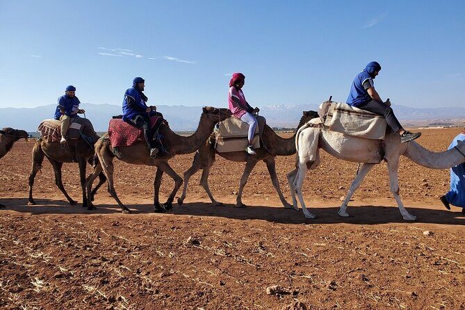 Best, Day trip to the Atlas Mountains, Camel ride, waterfalls, from Marrakech - Final Thoughts
