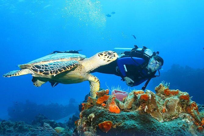 Best Egypt Holiday Cairo & Nile Cruise & Hurghada Red Sea 10 Days with Flights - FAQs