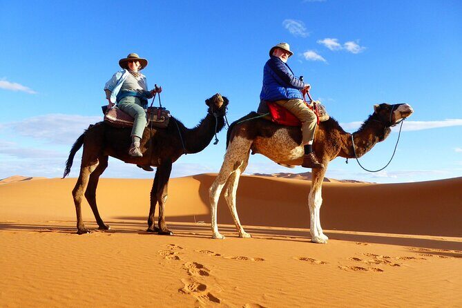 Best Fes to Merzouga Desert Tour 2 Days - Overview of the Journey from Fes to Merzouga