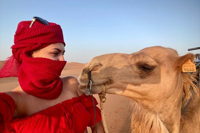 Best Fes to Merzouga Desert Tour 2 Days - Sunrise and Return to Fes