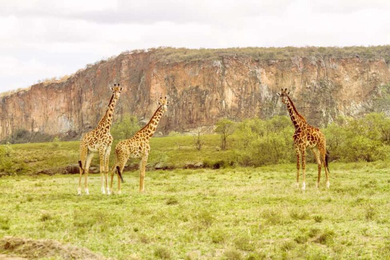 Best Hells Gate National Park & Lake Naivasha Day Tour - Introduction: An Adventure of Many Modes