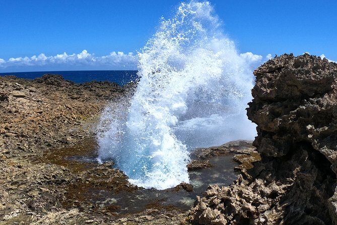 Best Highlight Island Tour - Perfect Day Tour. Small group Tour - Exploring Curaçao’s Natural and Cultural Treasures