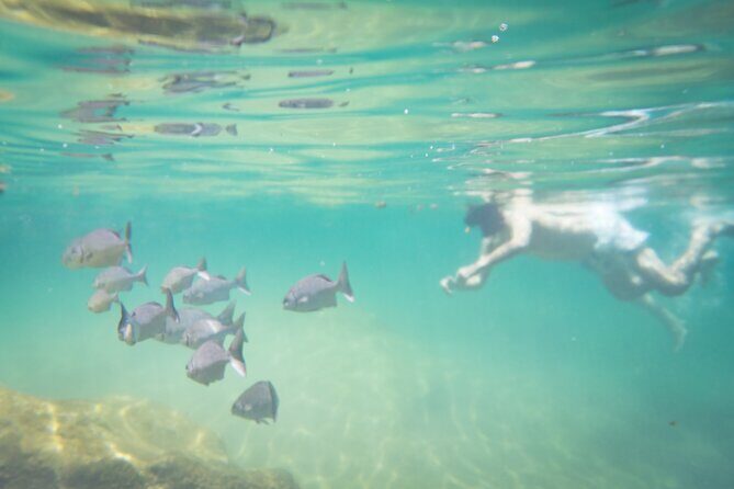 Best in Class: Private Snorkeling Xpedition - Frequently Asked Questions