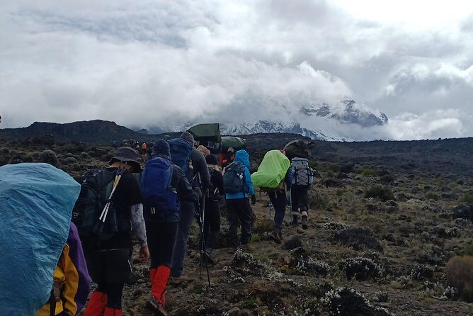 Best Kilimanjaro Adventures 6 Days Marangu Route Experience - Exploring the 6-Day Marangu Route