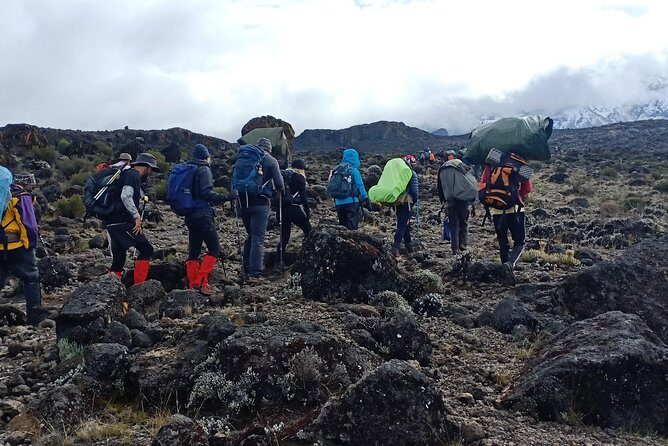 Best Kilimanjaro Adventures 6 Days Marangu Route Experience - Who Should Consider This Tour?