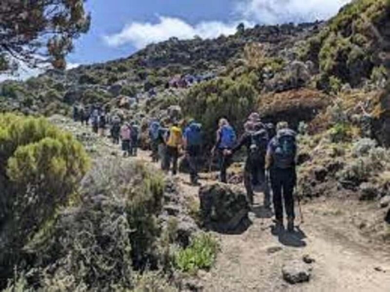 Best Kilimanjaro Day Hike With Car Shira Plateau experience - Key Points
