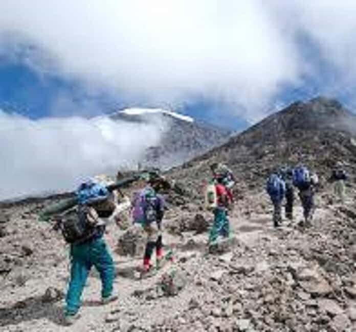 Best Kilimanjaro Hike- 1 Day Rongai Route - A Closer Look at the Rongai Route Experience