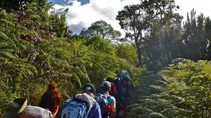 Best Kilimanjaro Hike- 1 Day Rongai Route - What’s Included and What’s Not