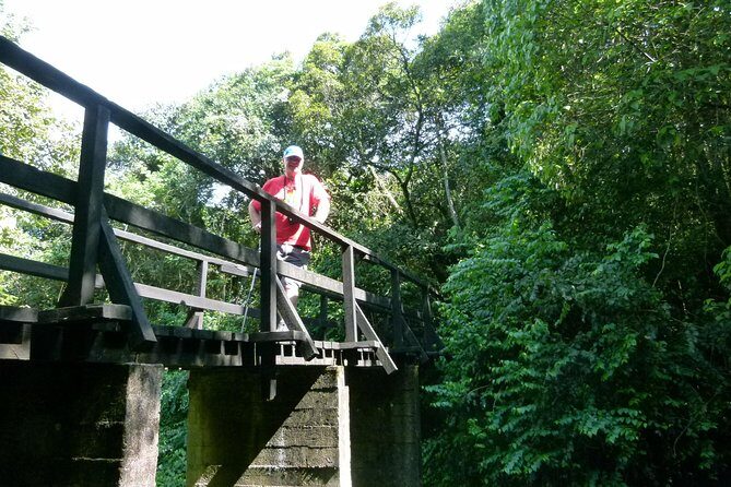 Best Kilimanjaro hiking day trip tour with Kilinge Adventures - Key Points