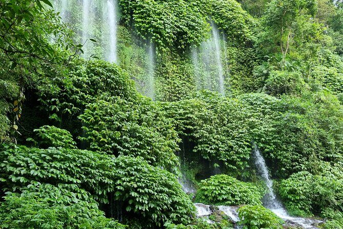Best Lombok Rice Terrace Walking Tour With Waterfall & Monkey - A Closer Look at the Lombok Rice Terrace Walking Tour