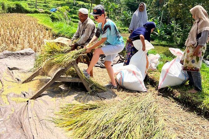 Best Lombok Rice Terrace Walking Tour With Waterfall & Monkey - Practical Details and Tips