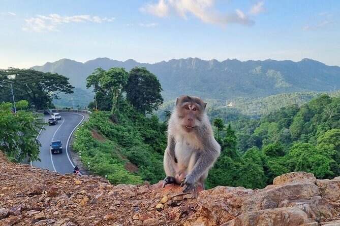Best Lombok Rice Terrace Walking Tour With Waterfall & Monkey - The Sum Up