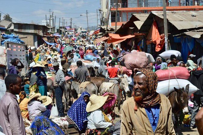 Best of Addis Ababa- (full day) - Who Should Book This Tour?