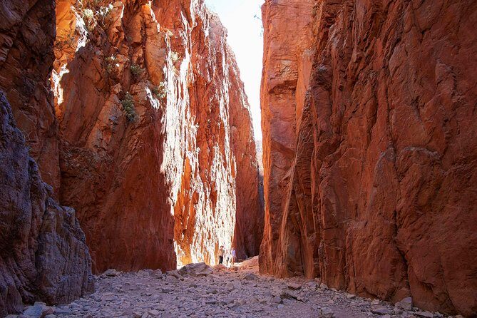 Best of Alice Springs Full Day Tour - Key Points