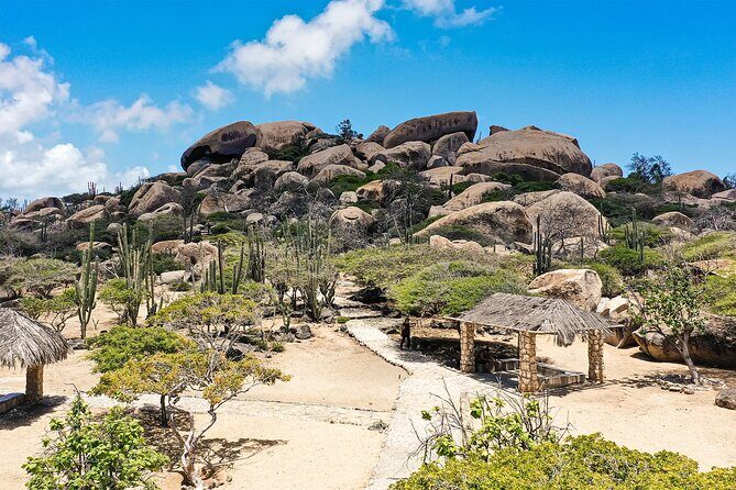 Best of Aruba by Bus - Final Thoughts