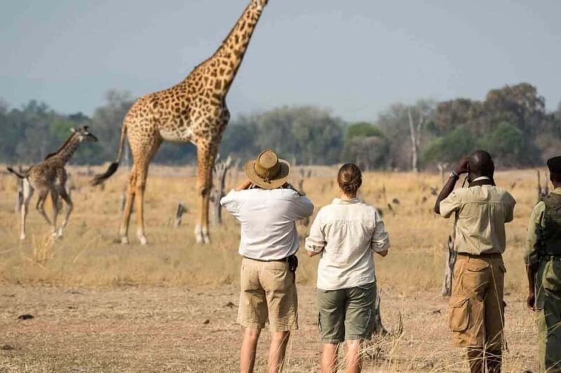 best of Arusha National Park Day Trip with Game Drive - Key Points