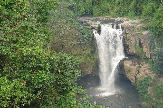 Best of Bali Jungle Swing with Ubud Sightseeing Tour - Transportation and Guides: Making the Day Smooth