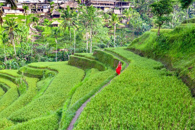 Best of Bali: Ubud All-inclusive Instagram highlights Tour - FAQ