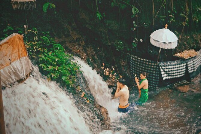 Best of Bali Ubud Tour and Surrounding - What’s Included and What’s Not: Setting Expectations