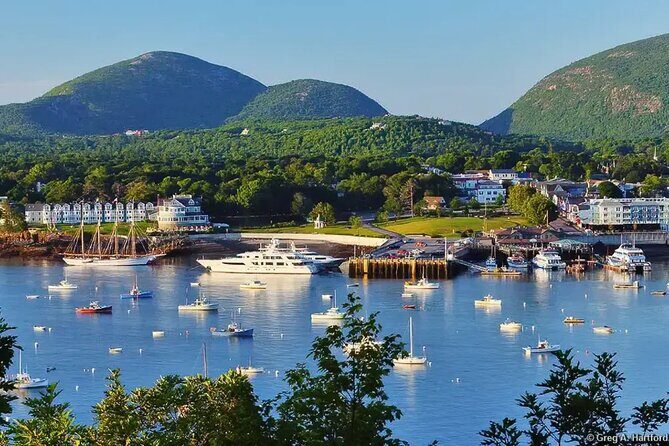 Best of Bar Harbor: 2-Hour Guided Food Walking Tour - Key Points