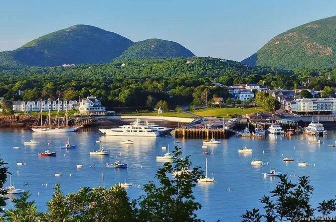 Best of Bar Harbor: 2-Hour Guided Food Walking Tour - The Sum Up