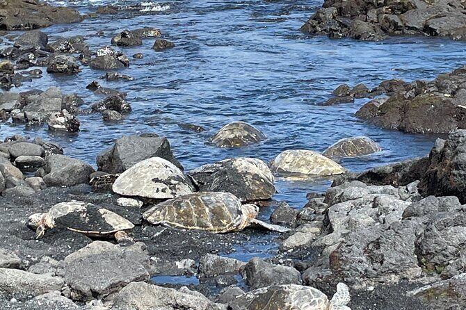 Best of Big Island: Volcanoes, Waterfall, Blacksand Beach & Lunch - FAQ