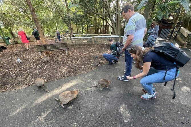 Best of Blue Mountains: Private Tour - The Itinerary in Detail