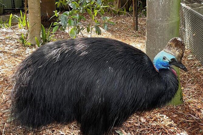 Best of Blue Mountains: Private Tour - Final Thoughts: Who Will Love This Tour?