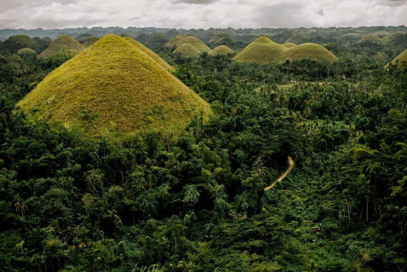 BEST OF BOHOL: Chocolate Hills & Tarsier w Lunch at Loboc - Who Will Love This Tour?