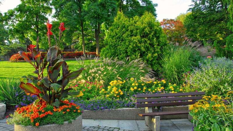 Best of Brampton: Private Walking Tour with a Local - Why This Tour Works Well