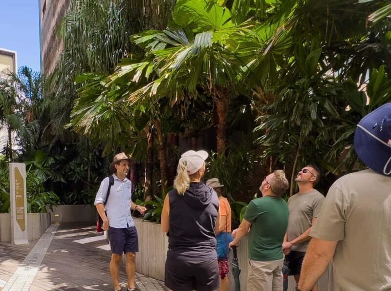Best of Brisbane Walking Tour | Small Group & snack - What Works Well and What to Keep in Mind