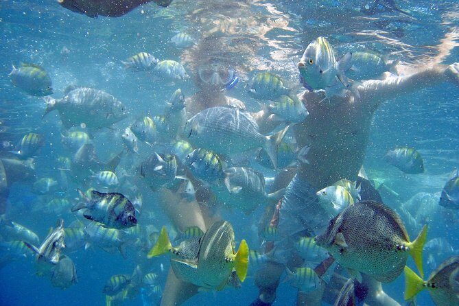 Best of Cabo Highlights 6x1 - The Itinerary in Detail