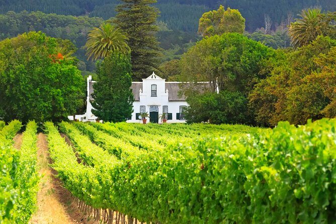 Best of Cape Town Full Day Tour - FAQ