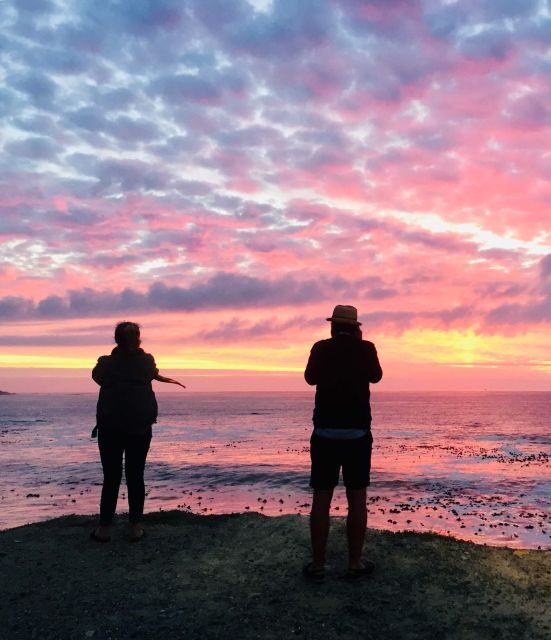 Best of Cape Town In A Day (Cape Point, Penguins and more) - Who Will Love This Tour?