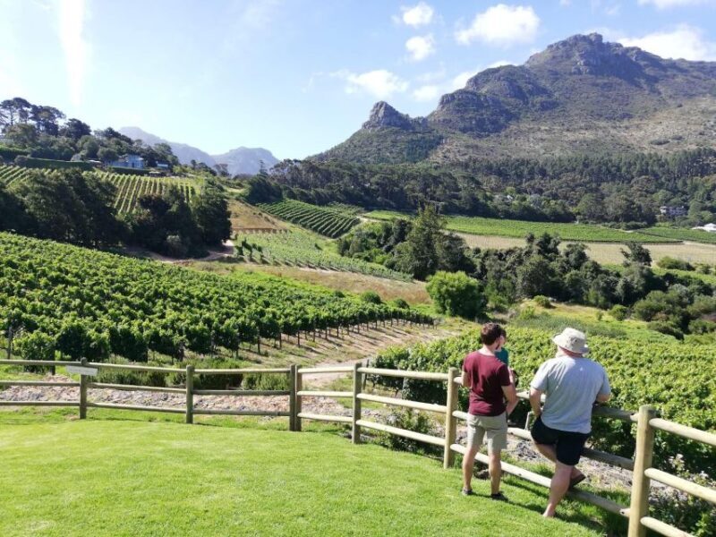 Best of Cape Town In A Day (Cape Point, Penguins and more) - The Sum Up: Is This the Right Tour for You?