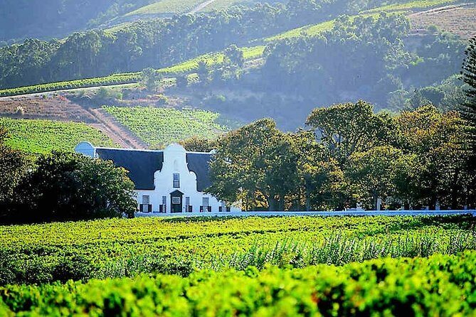 Best of Cape Town Wines - Cape Winelands Tour - Final Thoughts