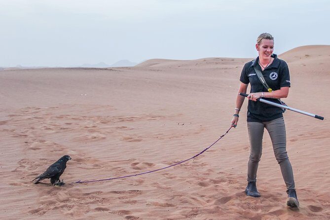 Best of Dubai : Dubai City Tour + Evening Desert Safari with all Activities - The Sum Up: Is This Tour Right for You?