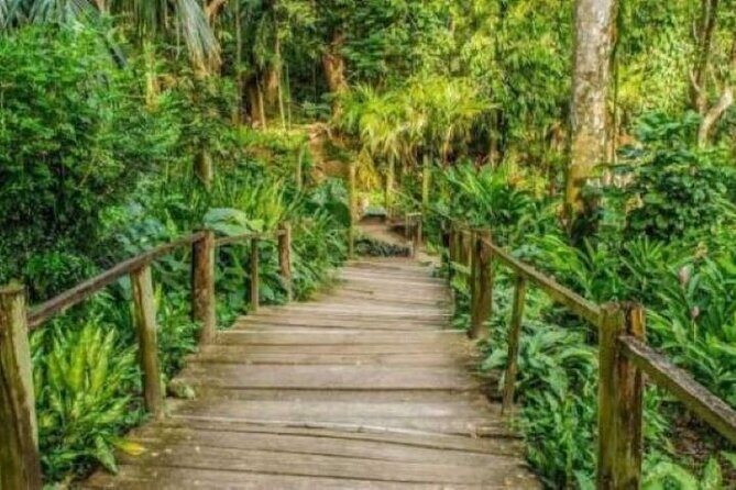 Best of Fiji Tours: 3 Days Package - What Makes This Tour Stand Out