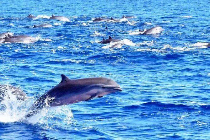 Best Of Full-Day Snorkeling & Beach Excursion with lunch & drinks - Who Will Love This Tour?