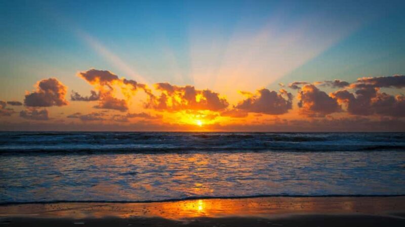 Best of Gold Coast: Private Walking Tour with a Local - The Sum Up