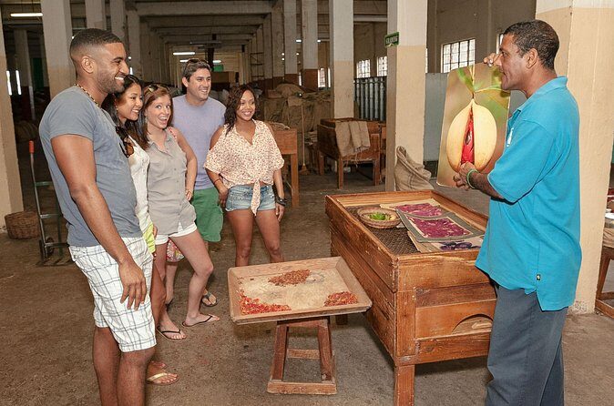 Best Of Grenada Historical Spice Tour and Annandale Waterfall - Who Is This Tour For?