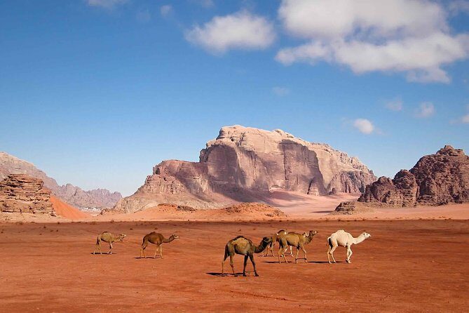 Best of Jordan Tour Amman Petra and Dead Sea with Camping at Wadi Rum - Frequently Asked Questions