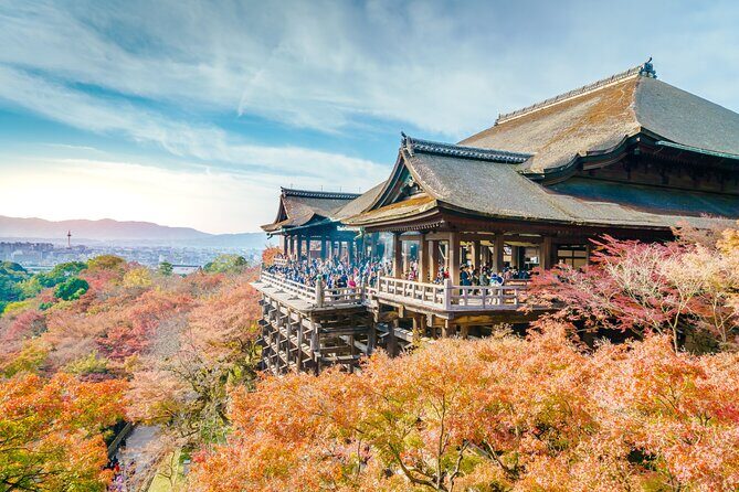 Best of Kyoto and Nara Highlights Day Tour from Osaka (7~9 spots) - The Sum Up
