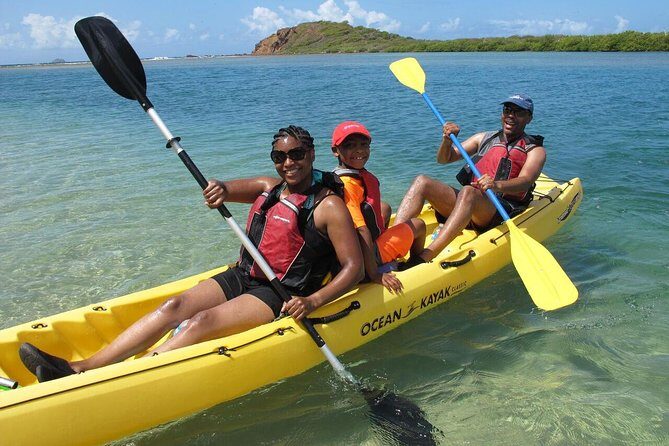 Best of Mangrove Lagoon Kayak, Hike and Snorkel Adventure with Picnic Lunch - Key Points