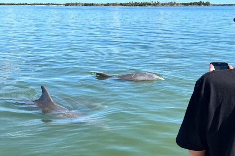 Best of Marco Dolphin Tour - The Itinerary and What You’ll Experience