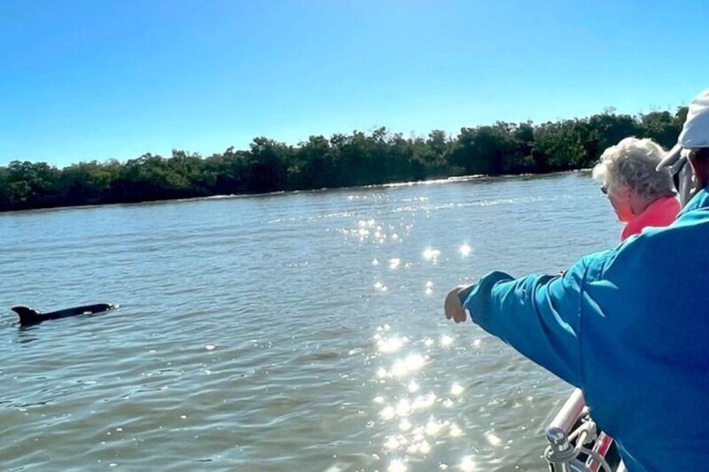 Best of Marco Dolphin Tour - Who Will Love This Tour?