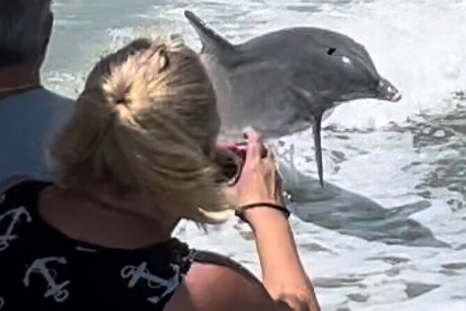 Best of Marco Island Dolphin Tour - Who Will Love This Tour?